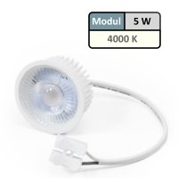 LED Einbaustrahler Lana | Flach | 230V | 5W | MCOB Modul | Schwenkbar